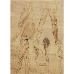 Репродукция 29229