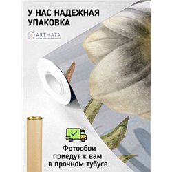 Фотообои для интерьера - 500х270см из 5и полос. Обои для стен, оформление спальни, детской комнаты, кухни, гостинной.