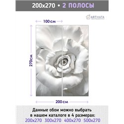 Фотообои для интерьера - 200х270см из 2х полос. Обои для стен, оформление спальни, детской комнаты, кухни, гостинной.