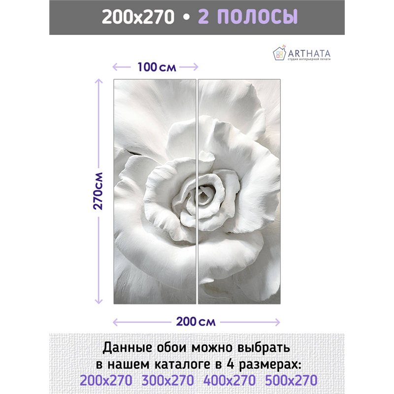 Фотообои для интерьера - 200х270см из 2х полос. Обои для стен, оформление спальни, детской комнаты, кухни, гостинной.