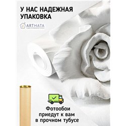 Фотообои для интерьера - 200х270см из 2х полос. Обои для стен, оформление спальни, детской комнаты, кухни, гостинной.