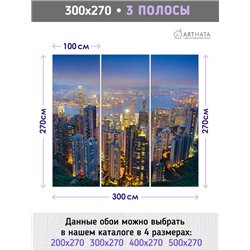 Фотообои для зала Город ночью 300 для декорирования стен в спальне