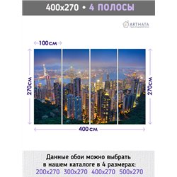 Фотообои для зала Город ночью 400 для оформления стен в коридоре