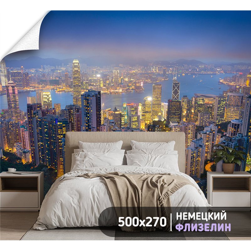 Фотообои для зала Город ночью 500 для зала