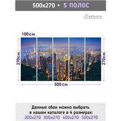 Фотообои для зала Город ночью 500 для зала