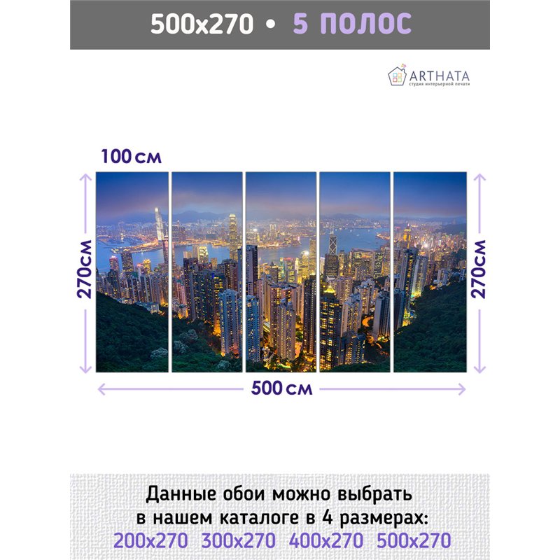 Фотообои для зала Город ночью 500 для зала