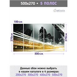 Фотообои для кухни моющиеся ночной город 500х270 см интерьерные