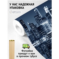 Фотообои для спальни ночной город небоскреб 300х270 см интерьерные