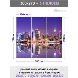 Фотообои для кухни ночной город 300х270 см интерьерные