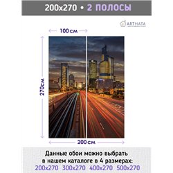 Фотообои для зала ночной город 200х270 см флизелиновые с виниловым покрытием