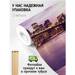 Фотообои в прихожую бруклинский мост 300х270 см интерьерные