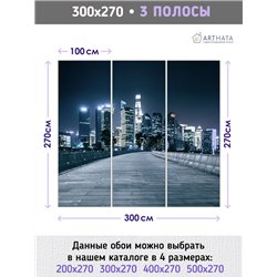 Фотообои в гостиную ночной город и мост 300х270 см интерьерные