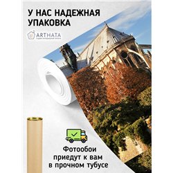 Фотообои Собор ПарижскойБогоматери 300х270 см для оформления коридора