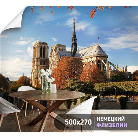 Фотообои Собор ПарижскойБогоматери 500х270 см для оформления стен в коридоре