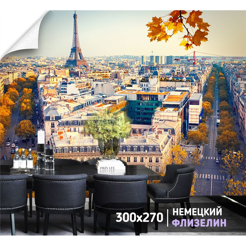 Фотообои Эйфелева башня осень 300х270 см для оформления стен в гостиной
