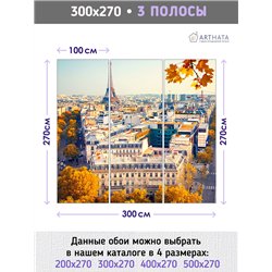 Фотообои Эйфелева башня осень 300х270 см для оформления стен в гостиной