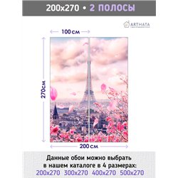 Фотообои для зала Париж эйфелева башня 200х270 см флизелиновые с виниловым покрытием