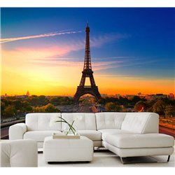 Фотообои Париж эйфелева башня 500х270 см для коридора