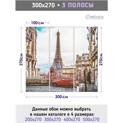 Фотообои в прихожую Париж эйфелева башня 300х270 см интерьерные