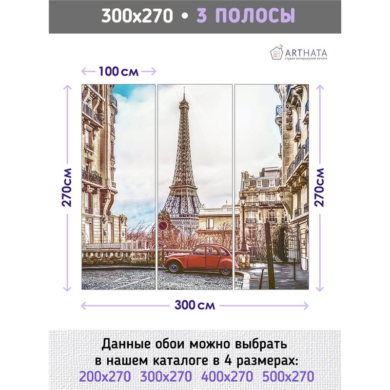 Фотообои в прихожую Париж эйфелева башня 300х270 см интерьерные