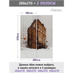 Фотообои Зимняя улочка 200х270 см для декорирования стен в зале