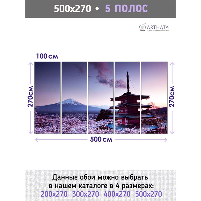 Фотообои Япония Фудзияма 500х270 см для коридора