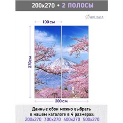 Фотообои Япония Фудзияма 200х270 см для декорирования стен в зале