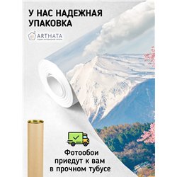 Фотообои для кухни моющиеся Япония Фудзияма 400х270 см флизелиновые с виниловым покрытием