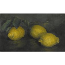 Картина на холсте по фото Модульные картины Печать портретов на холсте Лимоны