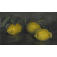 Портреты картины репродукции на заказ - Лимоны