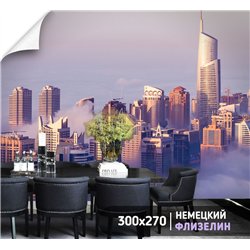 Фотообои панорама небоскребы 300х270 см для оформления стен в гостиной