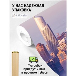 Фотообои панорама небоскребы 400х270 см для спальни