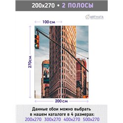 Фотообои на стену Нью йорк панорама 200х270 см для декорирования стен в зале