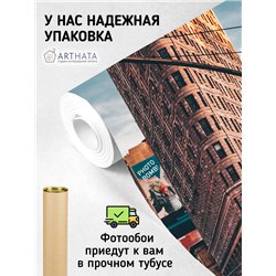 Фотообои на стену Нью йорк панорама 200х270 см для декорирования стен в зале