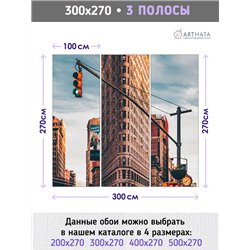 Фотообои на стену Нью йорк панорама 300х270 см для оформления стен в гостиной