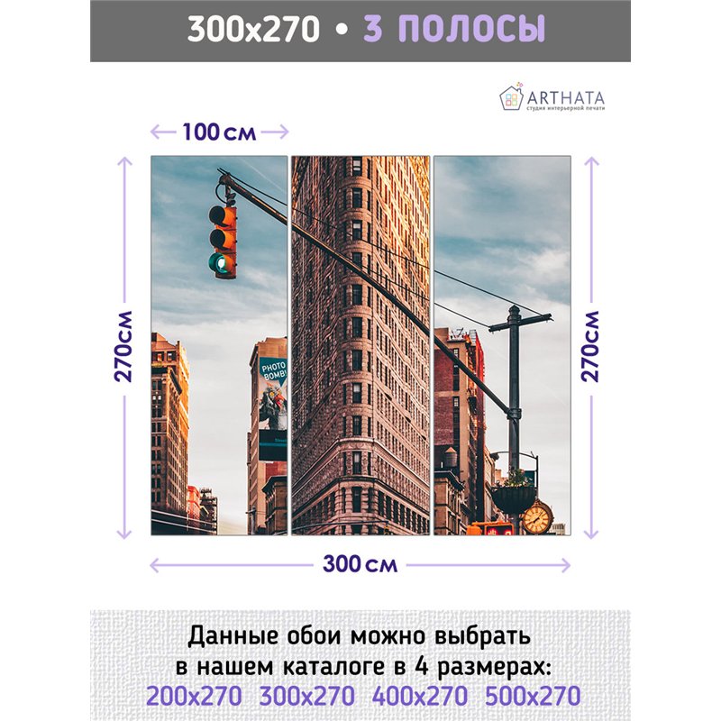 Фотообои на стену Нью йорк панорама 300х270 см для оформления стен в гостиной