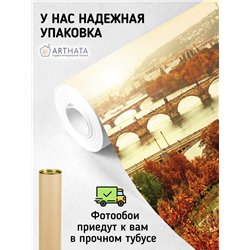 Фотообои Прага Чехия осень 500х270 см для коридора