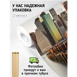 Фотообои Нью йорк панорама 200х270 см для декорирования стен в зале