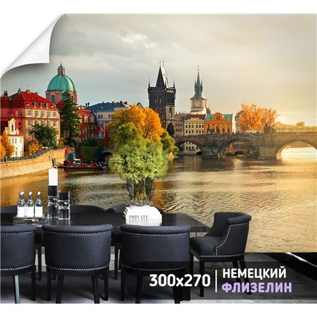 Фотообои для спальни Прага карлов мост 300х270 см интерьерные