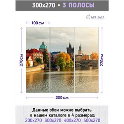 Фотообои для спальни Прага карлов мост 300х270 см интерьерные