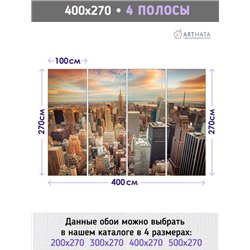 Фотообои для зала Нью йорк вид сверху 400х270 см моющиеся