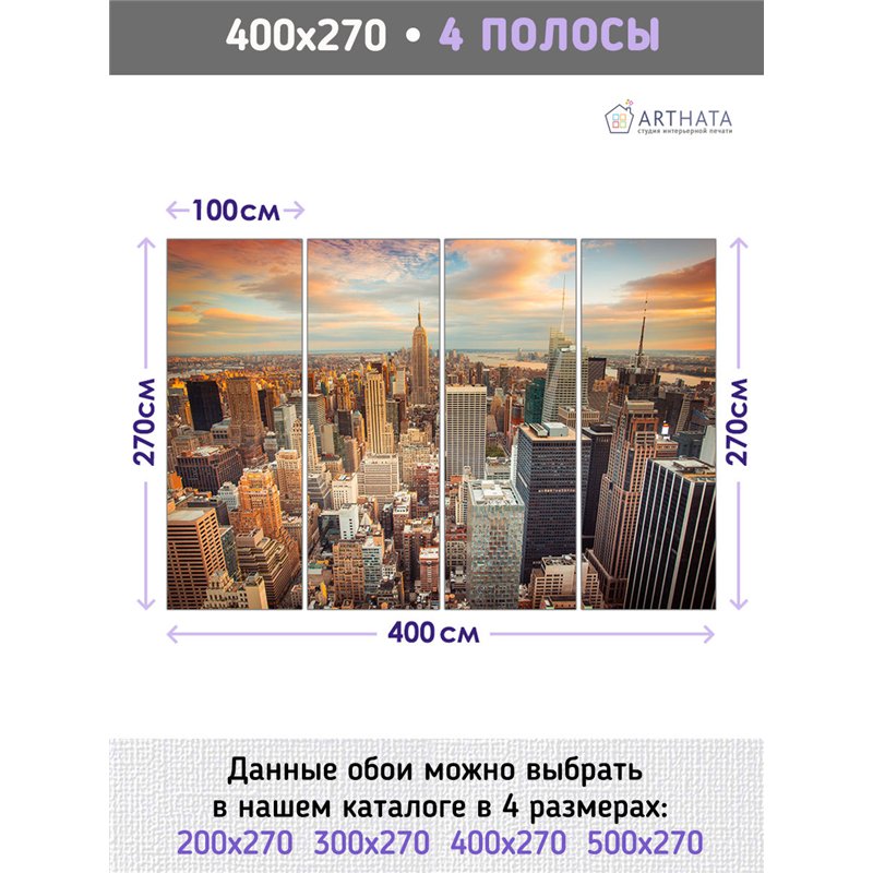 Фотообои для зала Нью йорк вид сверху 400х270 см моющиеся
