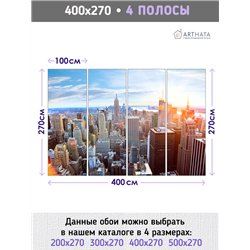 Фотообои 3D Нью йорк вид сверху 400х270 см для спальни