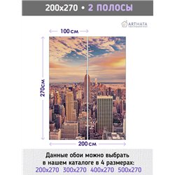 Фотообои Нью йорк вид сверху 200х270 см для декорирования стен в зале