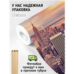 Фотообои Нью йорк вид сверху 200х270 см для декорирования стен в зале