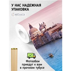 Фотообои в коридор Венеция 300х270 см интерьерные