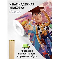 Фотообои в детскую История игрушек 400х270 см в игровую