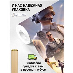 Фотообои для детской pubg mobile 500х270 см моющиеся