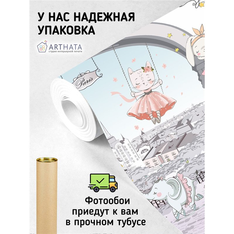 Фотообои для мальчика Париж балерина 500х270 см моющиеся