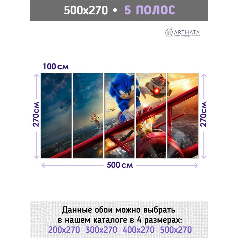 Фотообои детские для мальчиков соник 2 500х270 см моющиеся